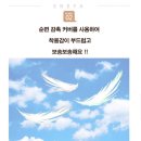 앤시아 | [커피 탈취 생리대 추천] 순면 감촉 앤시아