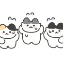 스타벅스오치점