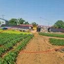 부곡2리마을회관 이미지