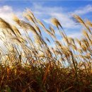 다산생태공원 이미지