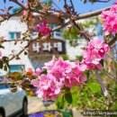 영동천1길 이미지