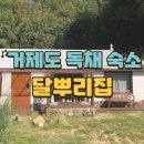 달뿌리집 이미지