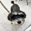 올데이멍 이미지