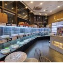 행복한강아지와고양이 이미지