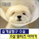 삼송사랑 동물의료센터 이미지