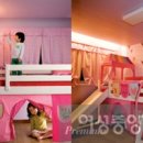 조명아이 Daum카페
