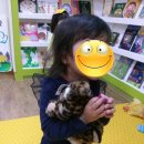 베베위즈 이미지