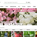 내곡동278 이미지