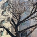 능동슈퍼