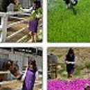 블루홀스 승마센터 이미지