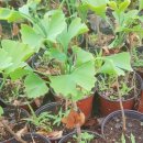 청한농장 이미지