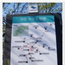 다오름글럽제39차 정기산행 경북 영주 소백산(비로봉1,439m) 이미지