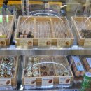 컴온분식 이미지