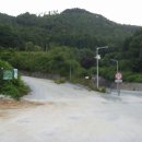 밤재 등산로 이미지