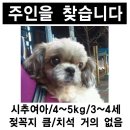 영아다방 - 서구 가정로 296 | 영아다방