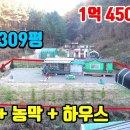 (8172) [소형전원주택] 토지 309평 + 주택 + 농막 + 하우스 ■ 1억4500만 이미지