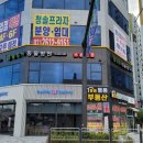 클로버동물병원 이미지