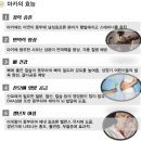 웰빙비타민 이미지