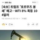 [속보] 트럼프 '호르무즈 봉쇄' 예고…WTI 8% 폭등 104달러 이미지