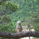 남*근