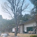 스위트밸리 이미지