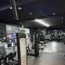 머슬핏 피트니스 이미지