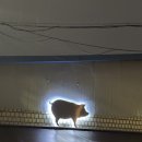 쿠보 신불당점 이미지