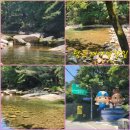 흥천늘푸른의료소비자생활협동조합 흥천늘푸른의원 | 제천시민들, 중국발 코로나19 엔데믹(풍토병화) 대응-제천시의회(의장 박영기), 2025회계연도 결산검사...