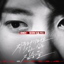 지푸라기 일간스포츠