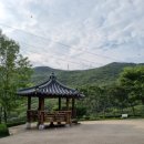 화명대천천 | 대천천누리길 6월 부산 화명 수국 현재 개화 상황 주차장