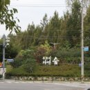 우로지 자연숲 황토길 이미지