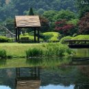 쉴만한 물가 이미지