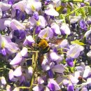 예술공원 주차장 공중화장실 이미지