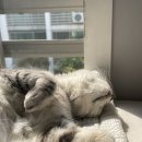 홍서농장 네이버블로그