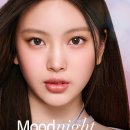 무드무드 이미지