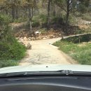 가는골농장 이미지