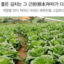 (주)대한에프앤에스 - 60154 | (주)대한에프앤에스