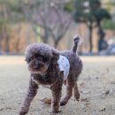 멍파티 | 파주 초록멍 파티룸 대관후기