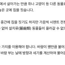 (대구일보)바람 부는 날의 까치집 - 처해진 환경을 이용하는 지혜 이미지