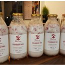 SC커피티처스커피