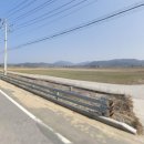 신기리농장 이미지