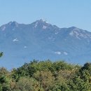 탑산농장 이미지