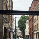 delicate point of view (2)
