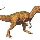 알로사우루스 이미지