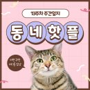 하노이맥주밤거리음성대소점 | [동네핫플 15기] 13주차 주간일기