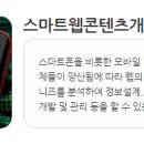 스마트웹