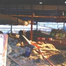 서탄초등학교내수분교장 이미지