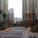 성복2로 네이버블로그