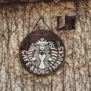 행복한돈가스.장닭 | [ 무주 ] 여행은 1박2일만, 무주 가볼만한 곳 - 먹거리