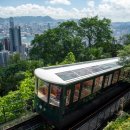 코끼리 카서비스 이미지